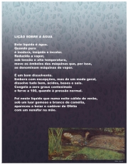 Ilustração do poema por Margarida Gama Carvalho